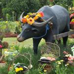 Paradizoo Theme Park