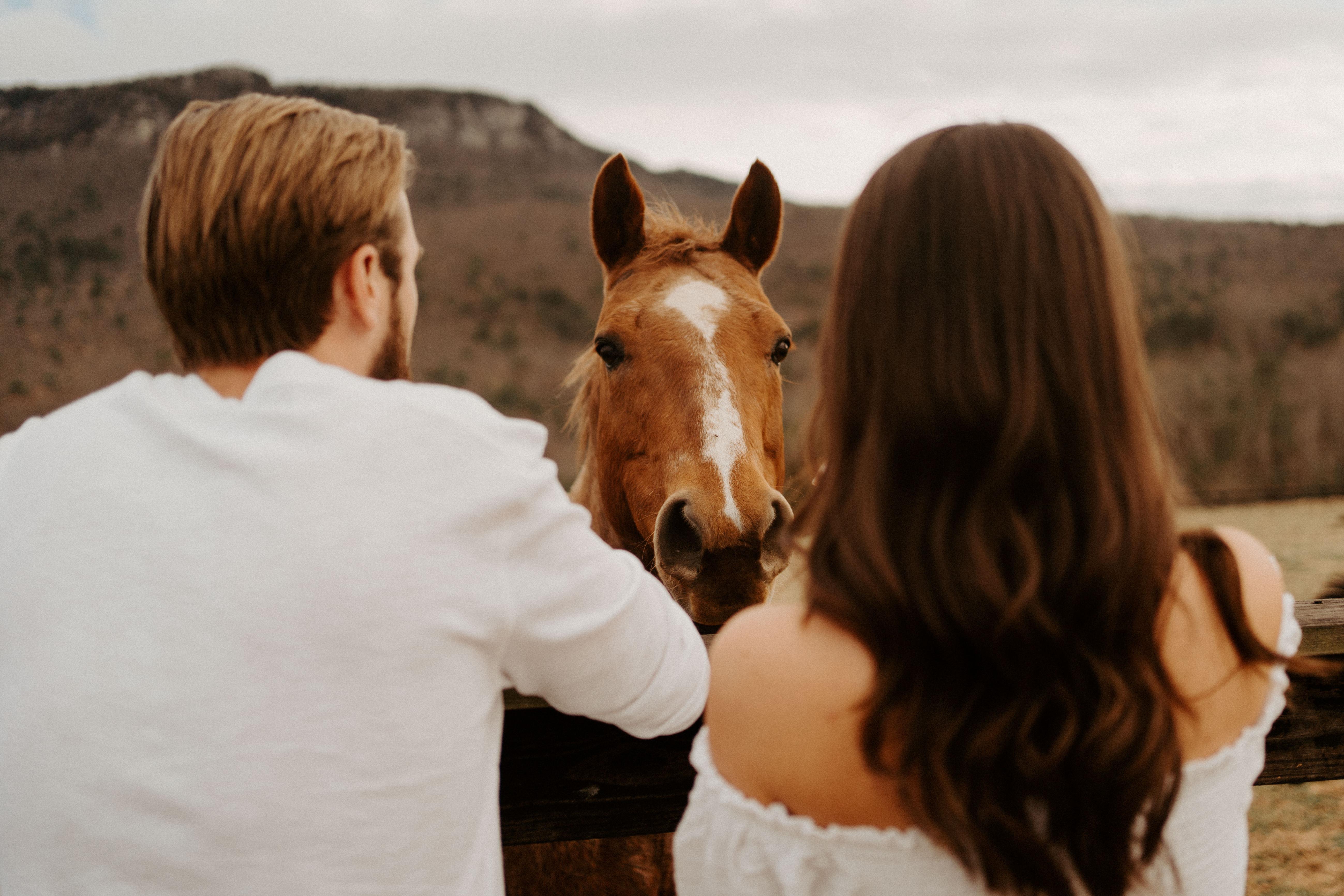 The Wedding Website of Ryan Moore and Bret Lawson