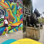 Medellín Insight + Comuna 13