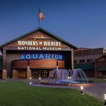 Wonders Of Wildlife National Museum & Aquarium