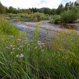 Council Grove State Park