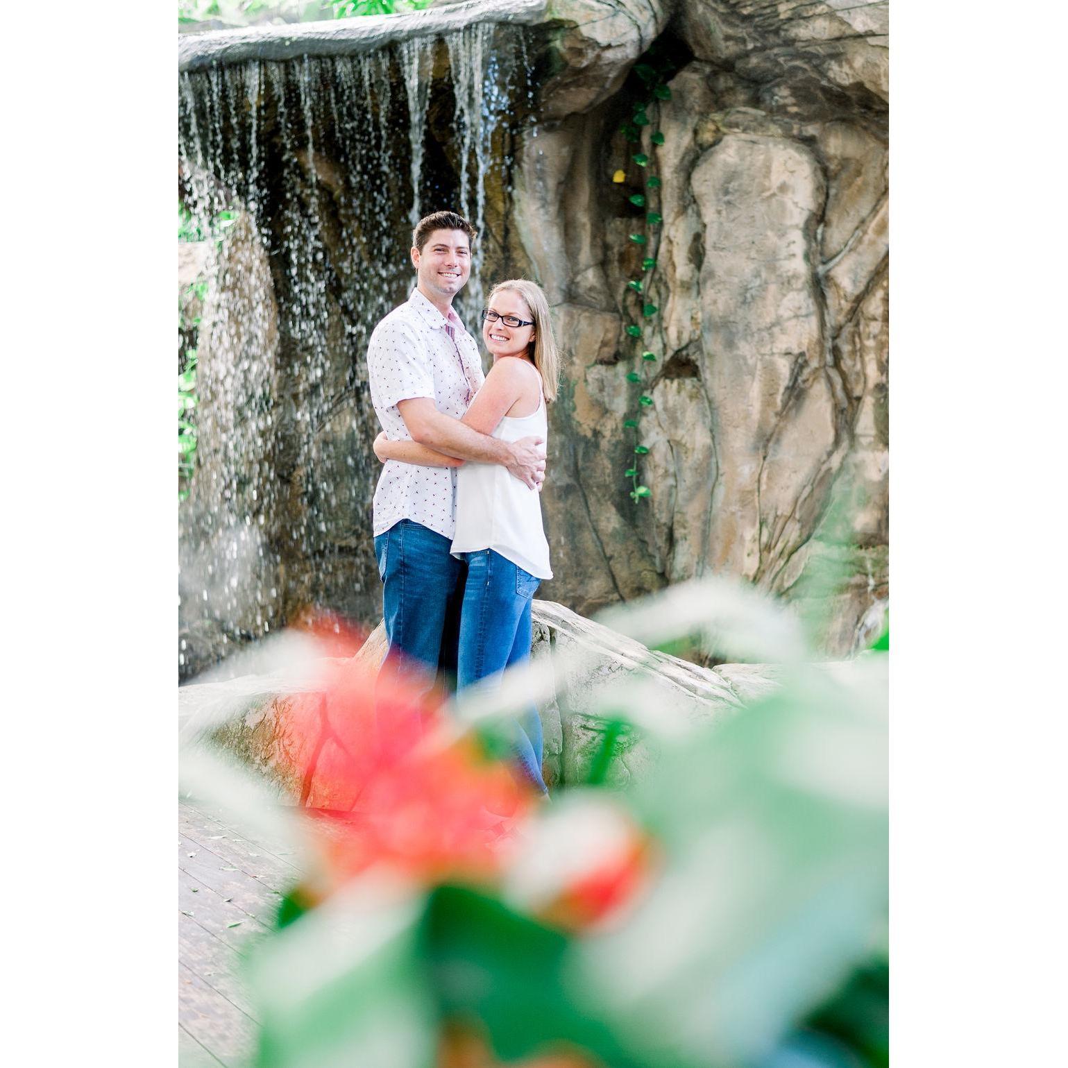 Engagement Shoot - Marie Selby Botanical Gardens - Photo Credit: Ashlee Nicole Photography