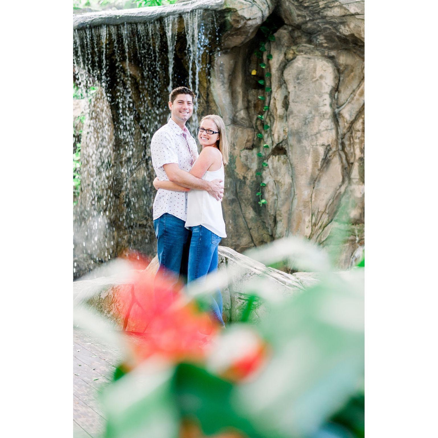 Engagement Shoot - Marie Selby Botanical Gardens - Photo Credit: Ashlee Nicole Photography