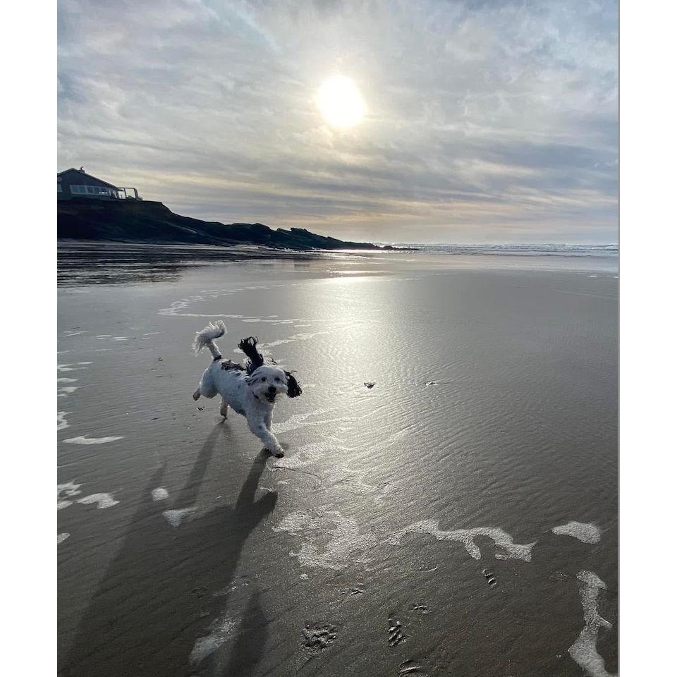 We sure you hope enjoy Yachats as much as we do!! ❤️
