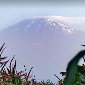 Tanzania House Fund
