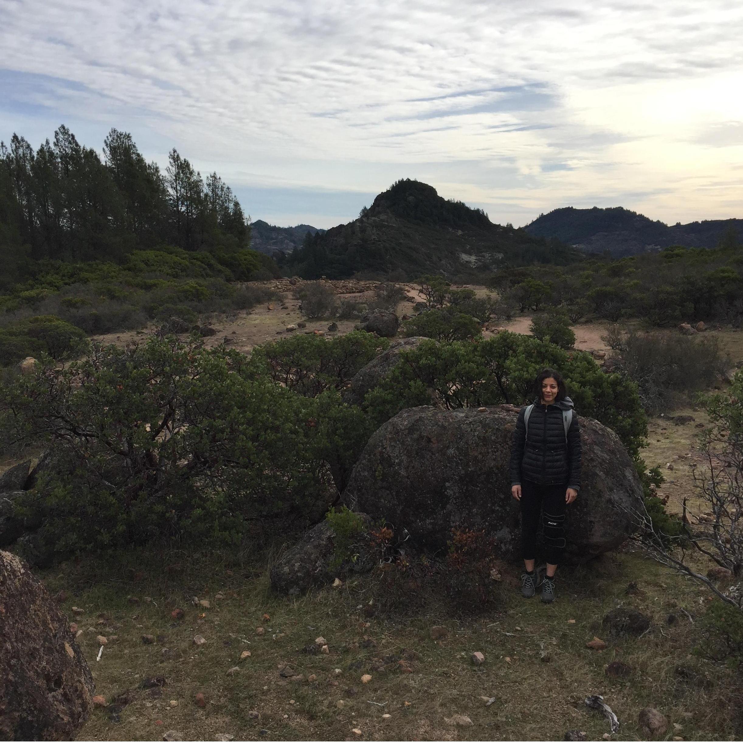 December 2017 - Our yearly Napa trip.