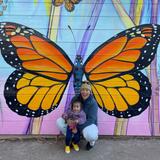 Monarch Butterfly Sanctuary