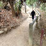 Temescal Canyon Trail