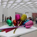 The Broad