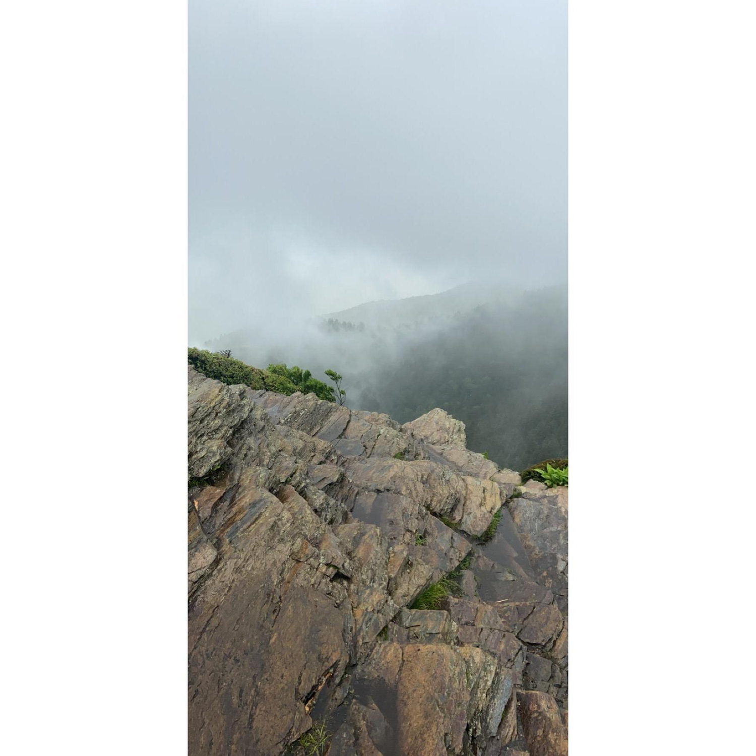View from the top of Mt Leconte, which is the mountain where we got engaged. Fun fact it was a 6 mile hike to the top of the mountain! It also happened to be freezing cold and raining that day.