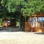 Lake Waco Marina and RV Campground