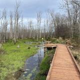 Beaver Hollow
