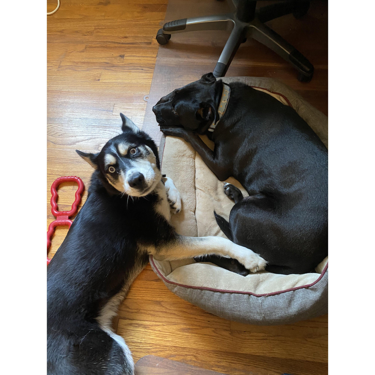 A&P