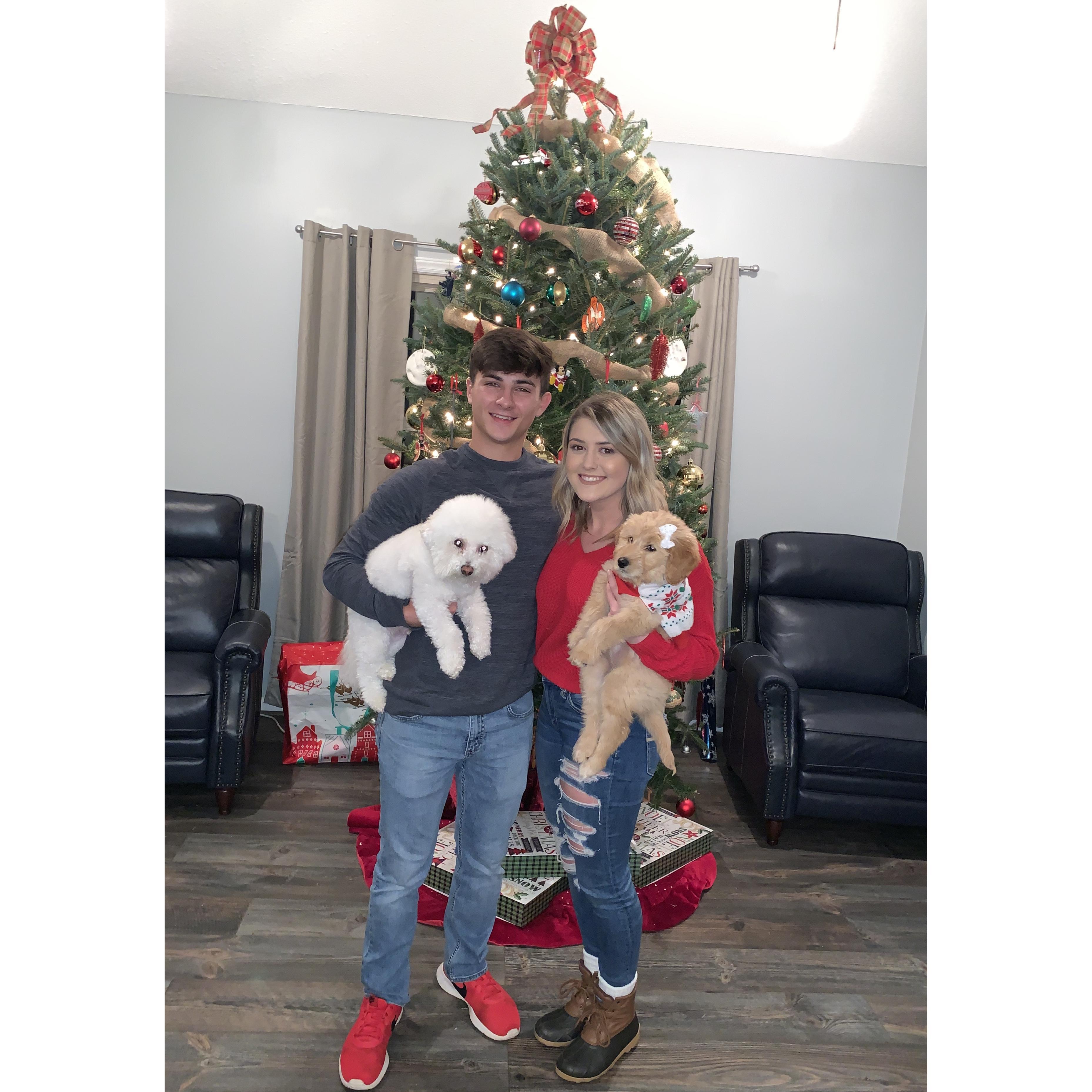 Christmas 2019 with our puppies.