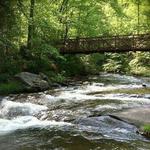 Fires Creek Picnic Area
