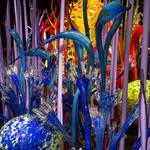 Chihuly Collection
