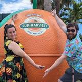 Sun Harvest Citrus