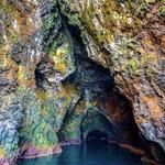 Channel Islands National Park