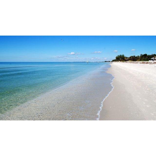 Enjoy this incredible beach with us!