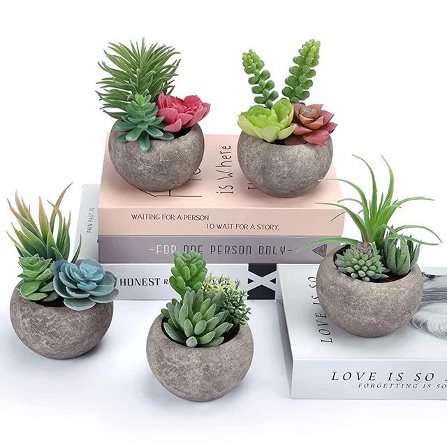 CEWOR 5pcs Fake Plants Succulents Plants Artificial, Faux Succulents in Pots Mini Fake Succulent with Multiple Heads in Small Pots for Home Office Decor Living Room Table Desk Windowsills Decoration