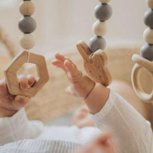 Our Future Baby Fund