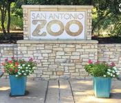 San Antonio Zoo