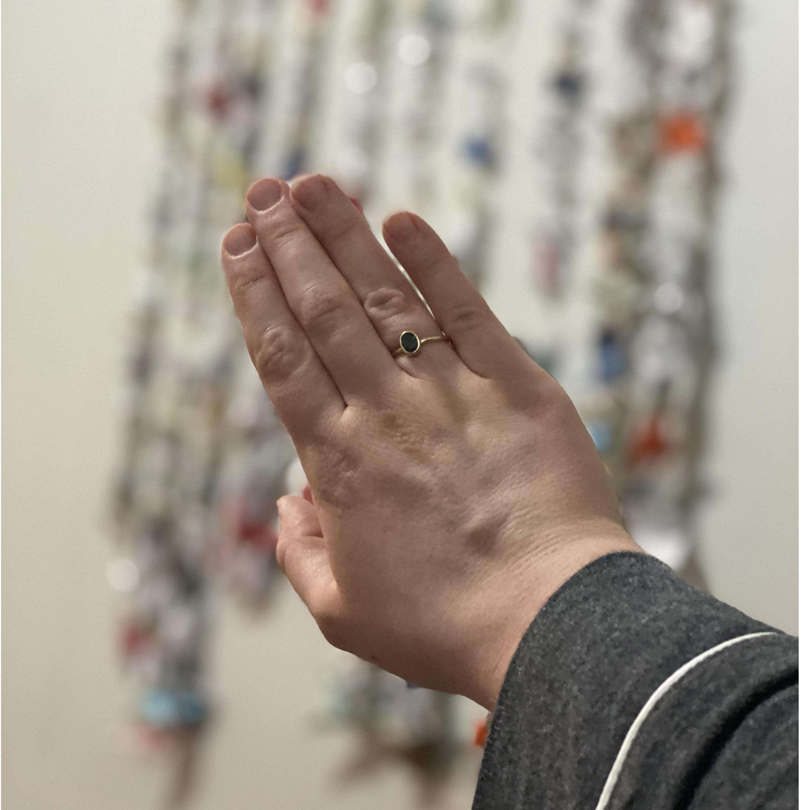 Abbie proposed, then Megan proposed back 24 hours later with over 900  paper cranes she had been saving for years made of maps, love notes, parking tickets and events from their 5 years together.
