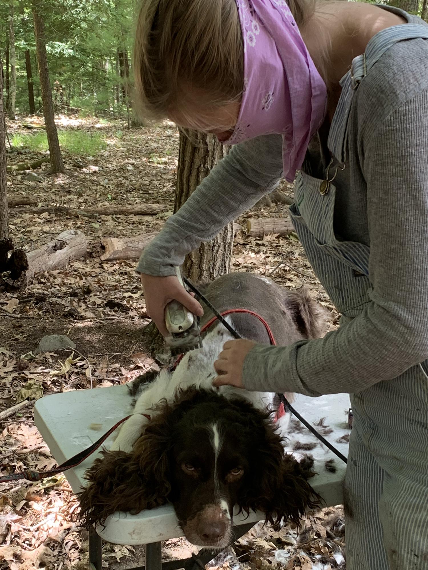 Haircut Time