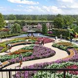 Atlanta Botanical Garden