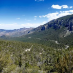 Mount Charleston