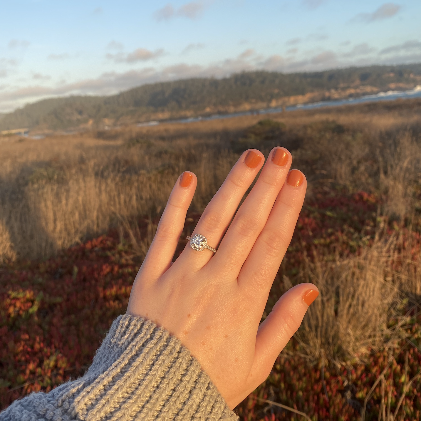 I couldn't stop staring at the ring the whole weekend!