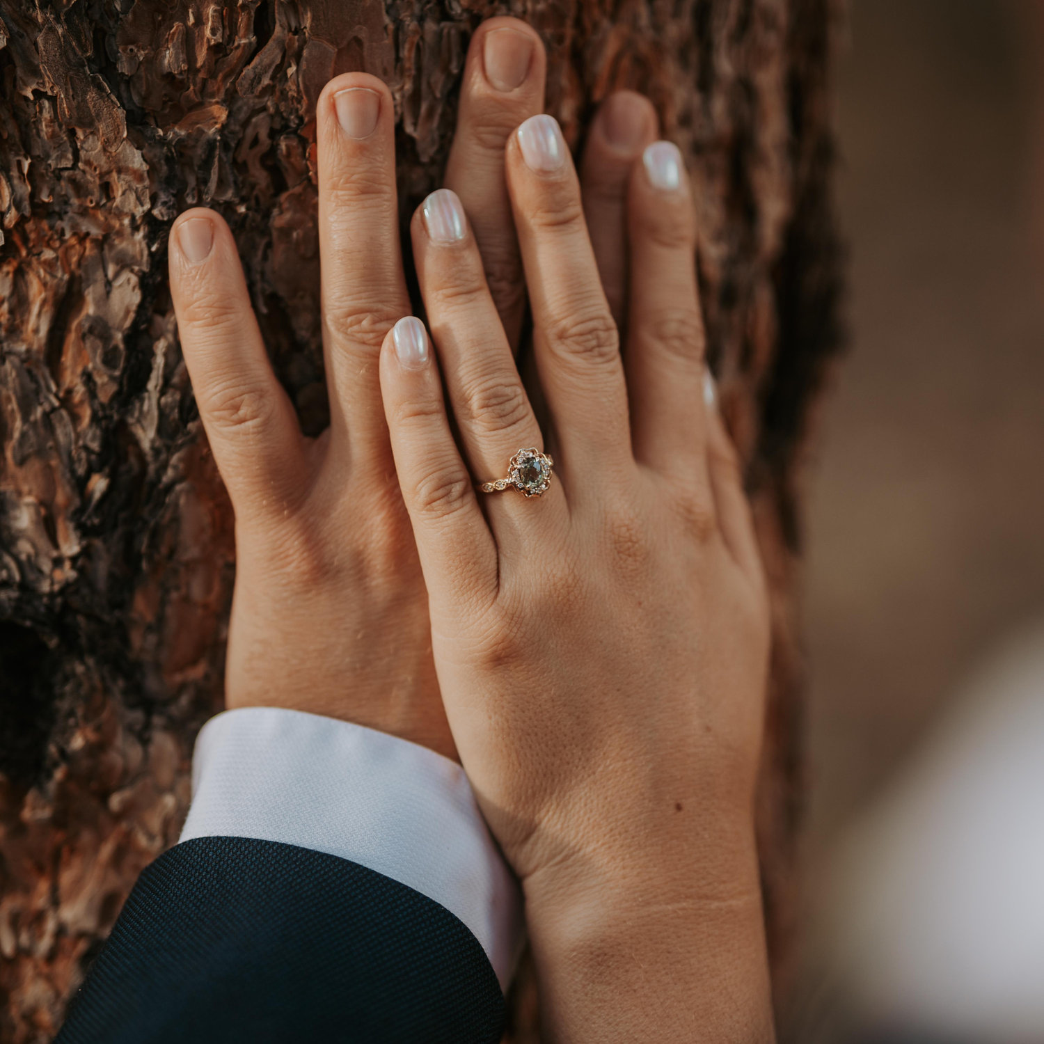 The Wedding Website of Gabriella Tosado and Thomas Musselwhite