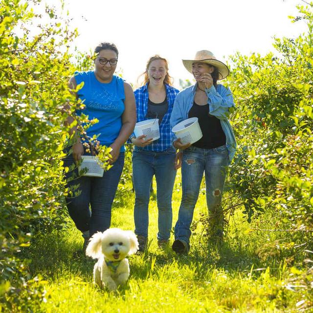 Donate (tax-deductible) to Anathoth Community Garden & Farm and Student Action with Farmworkers