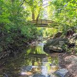 Asheville Botanical Gardens