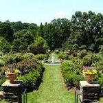 Morris Arboretum