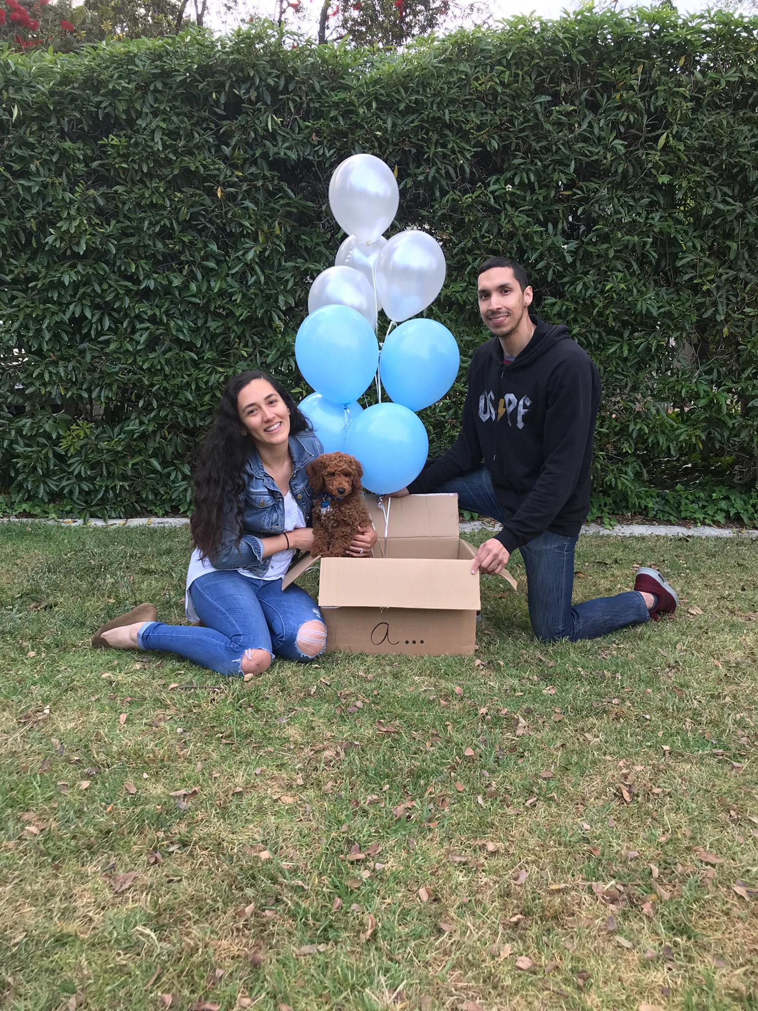 Benji's puppy reveal 2019