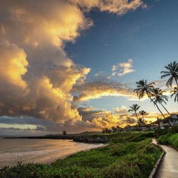Our Honeymoon Fund to Maui
