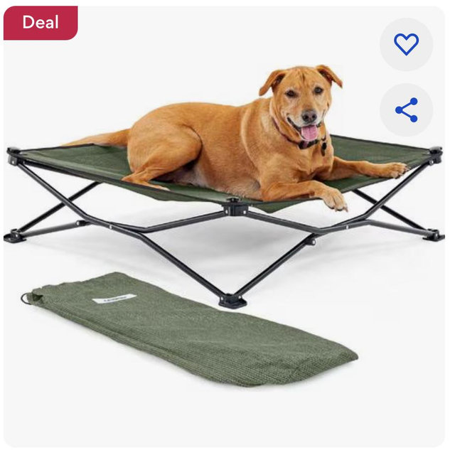 Coolaroo On The Go Cooling Elevated Dog Bed