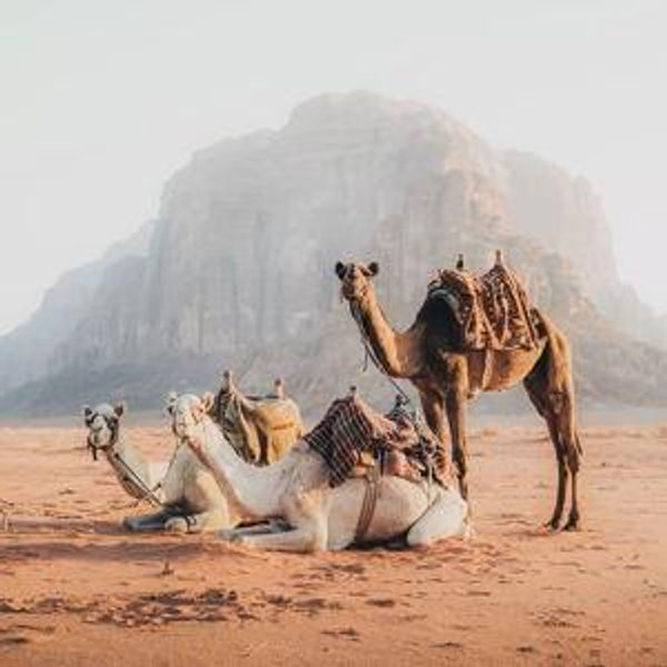 Onto Our Next Adventure | Our Honeymoon!