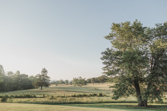 The Wedding Website of Victoria Trott and Tony Barrick