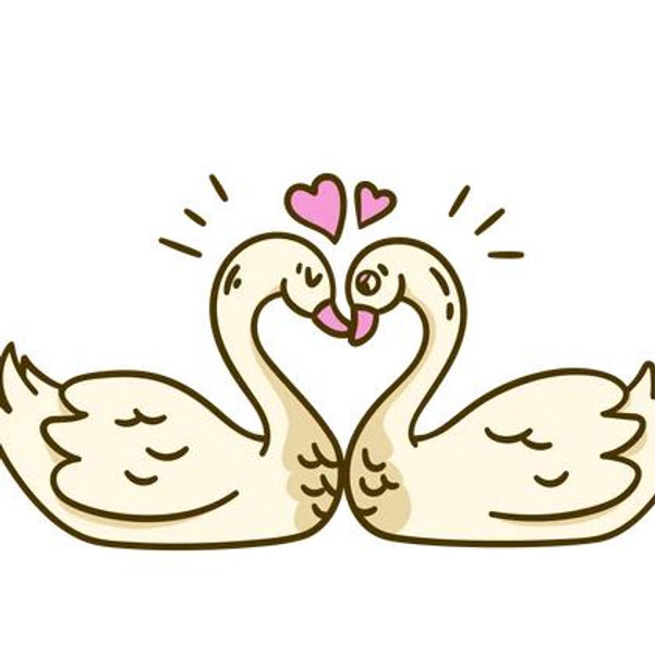 Our Honeymoon Fund ❤︎⁠