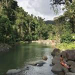 Angelito’s Trail, El Yunque
