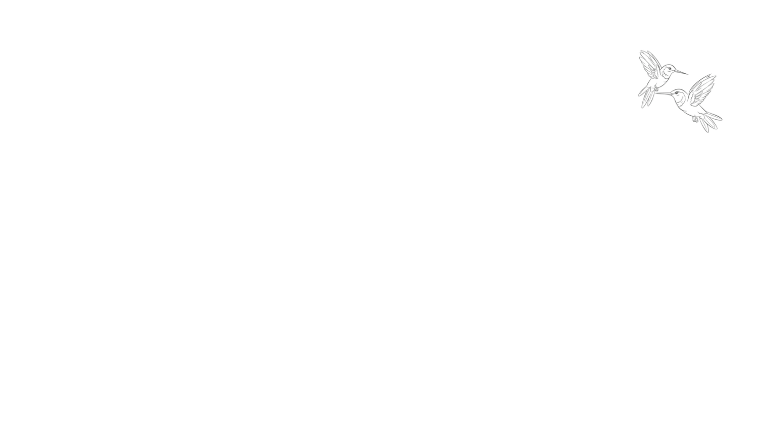 Footer image