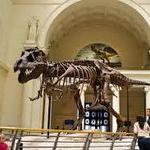 The Field Museum