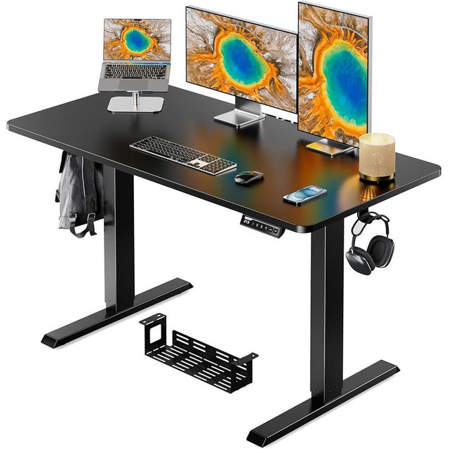 ErGear Whole Piece Standing Desk, Adjustable Stand Up Desk with Cable Management Tray, Electric Computer Desk Workstation for Home Office, 48x24 inch, Black, EGESD64B