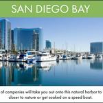 Gone Sailing Charters