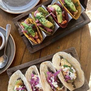 Taco Holders Set of 6