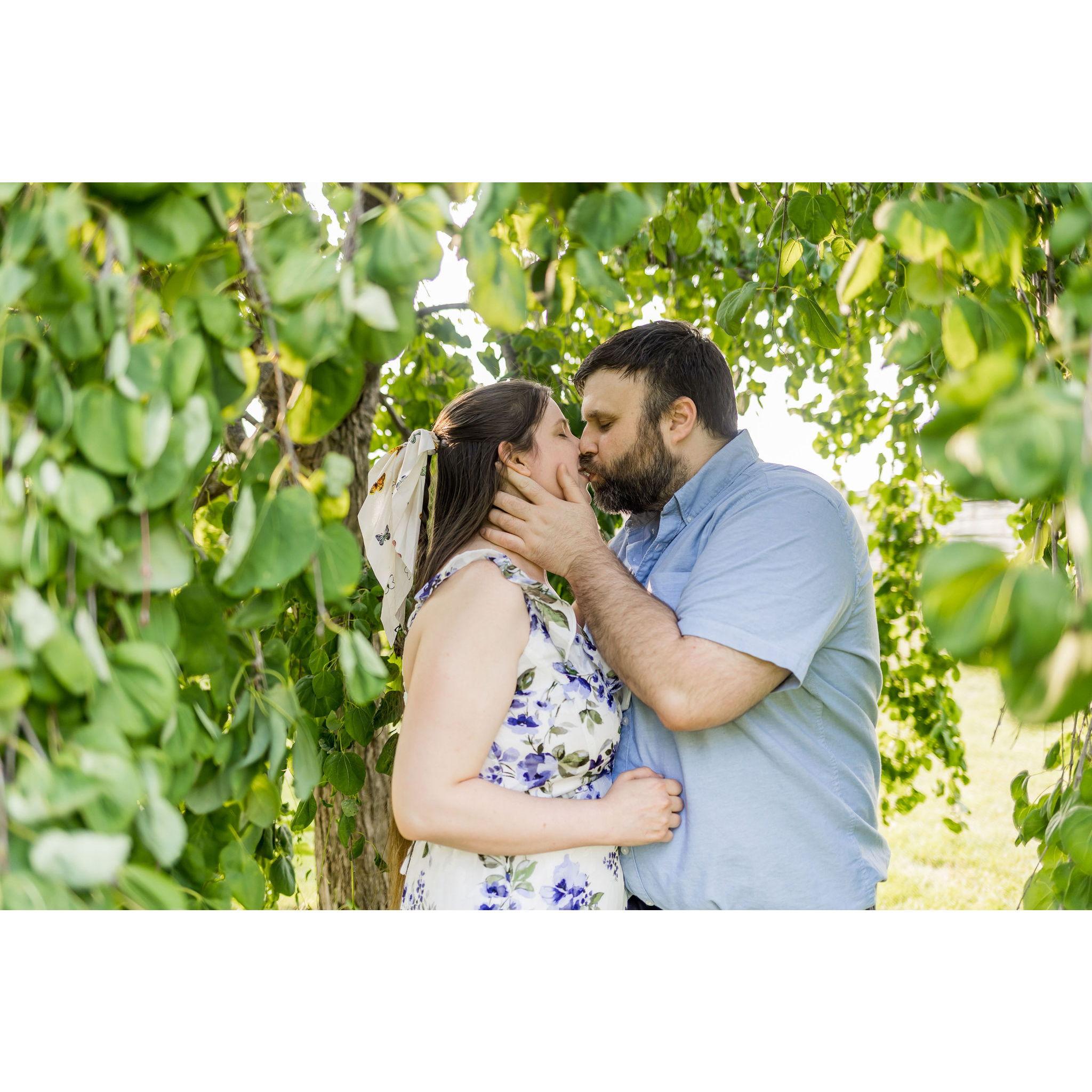 We did an Engagement photo shoot through Minnetrista's paths and gardens in June of 2023.