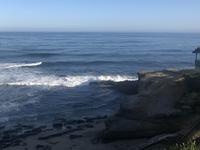Torrey Pines State Reserve