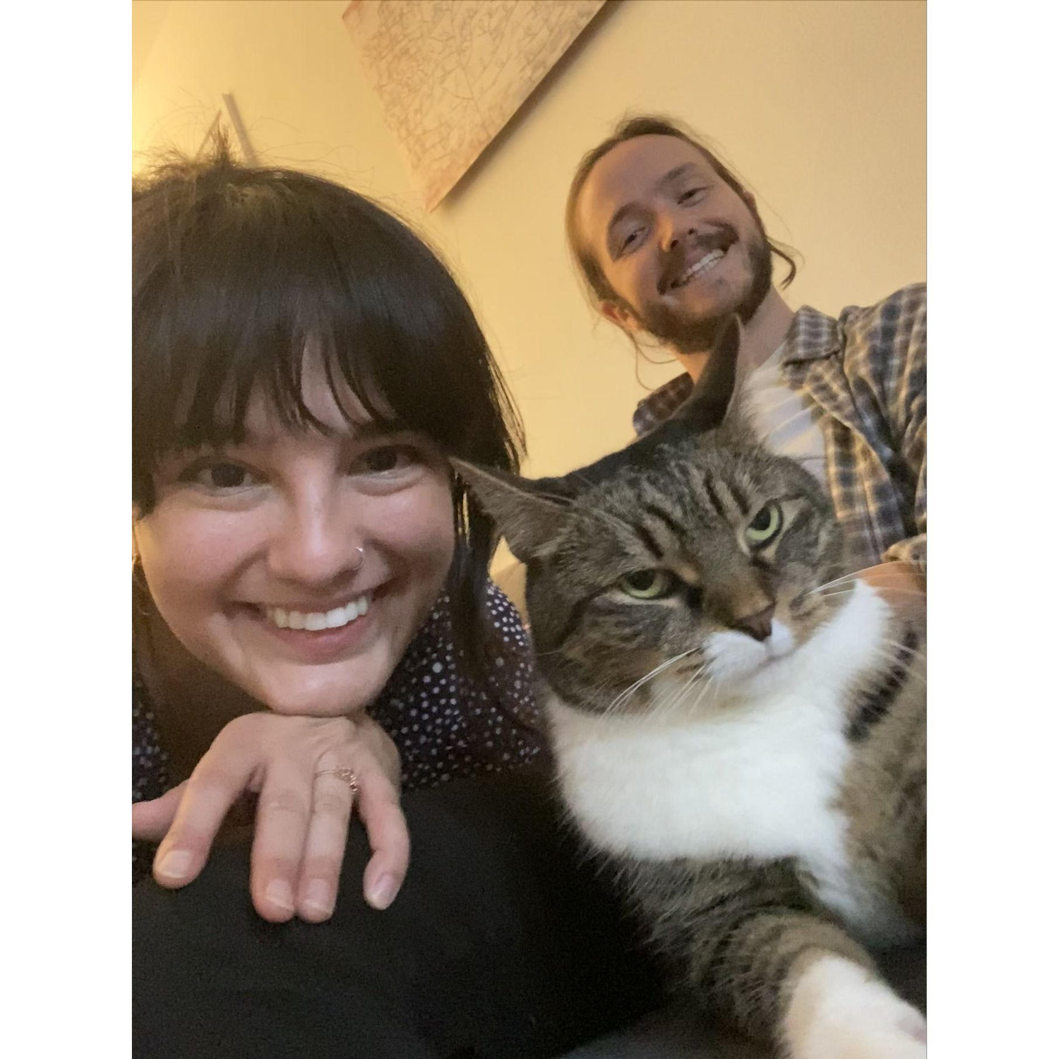 At home with our cat, Professor Zigzag!